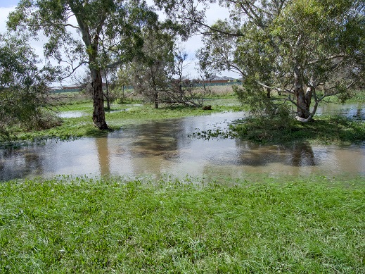 creek photo